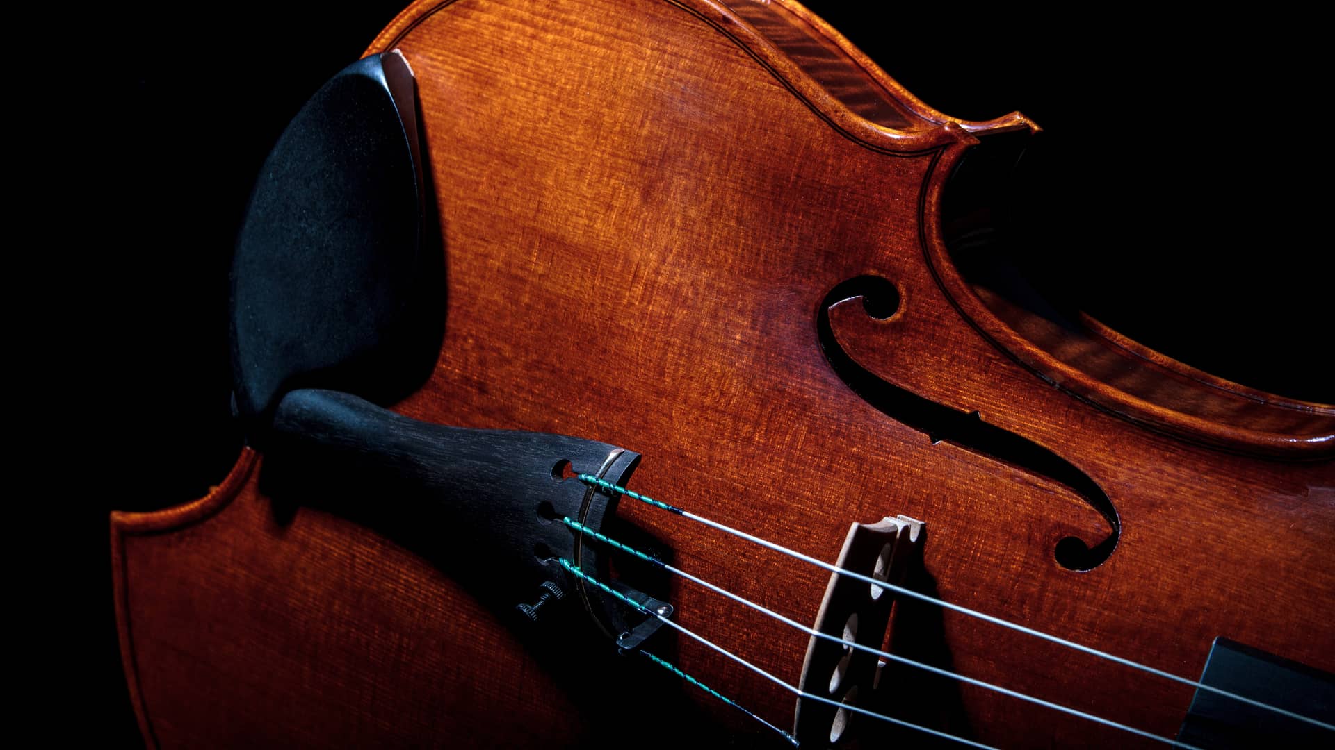 Geigenbau-Meisterwerkstatt asymetrische Bratsche